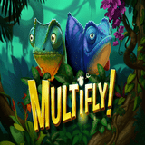 Multifly!